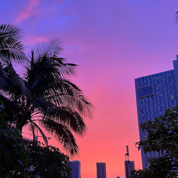 !!Stay Calm & Posh On!! - Picture 1 of 1